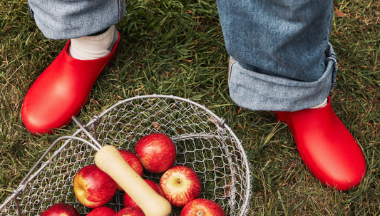 Fall Color Refresh: Trending Calzuro Colors for the New Season