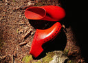 red classics against dirt background