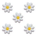 Daisy Heel Strap Charm 5 Pack