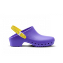 Calzuro Classic Purple & Yellow